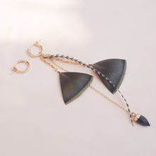Load image into Gallery viewer, Feather Earrings 1121
